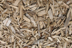 biomass boilers Staupes